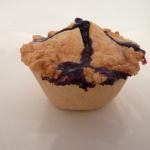 BlueBerryPie07