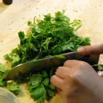 Cilantro